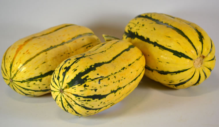 Delicata squash